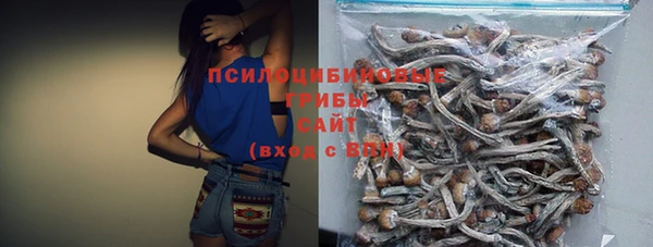 молекула духа Армянск