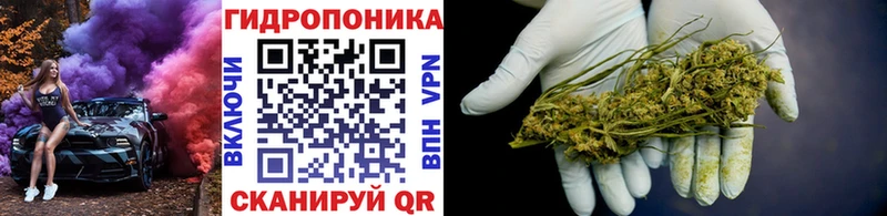 магазин  наркотиков  кракен ССЫЛКА  даркнет какой сайт  Белокуриха  МАРИХУАНА семена 